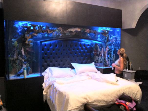 aquarium bed