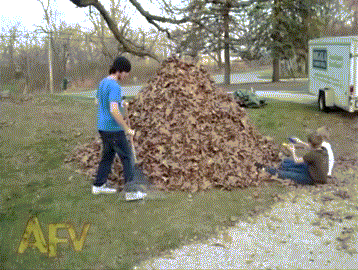 raking-leaves