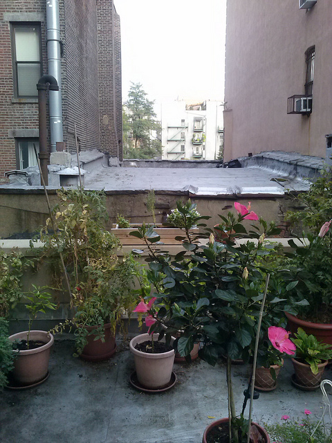 balcony garden east village