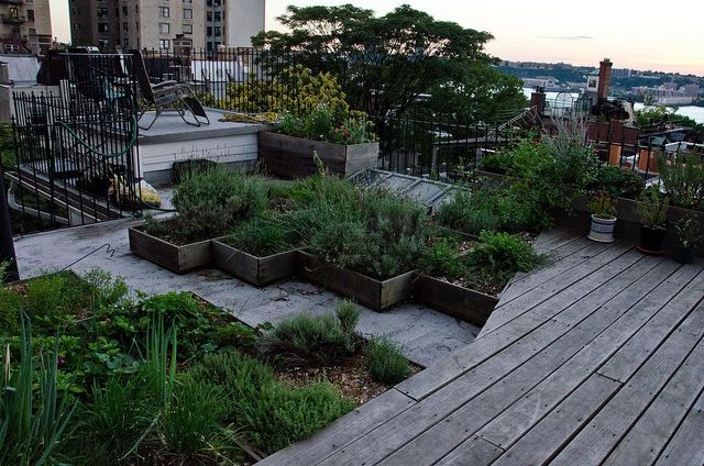 roof garden path