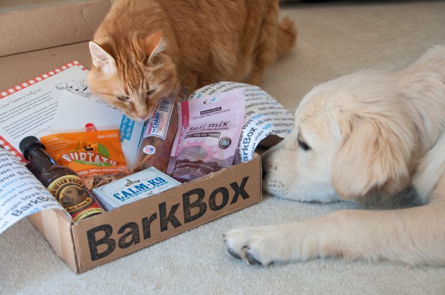 barkbox