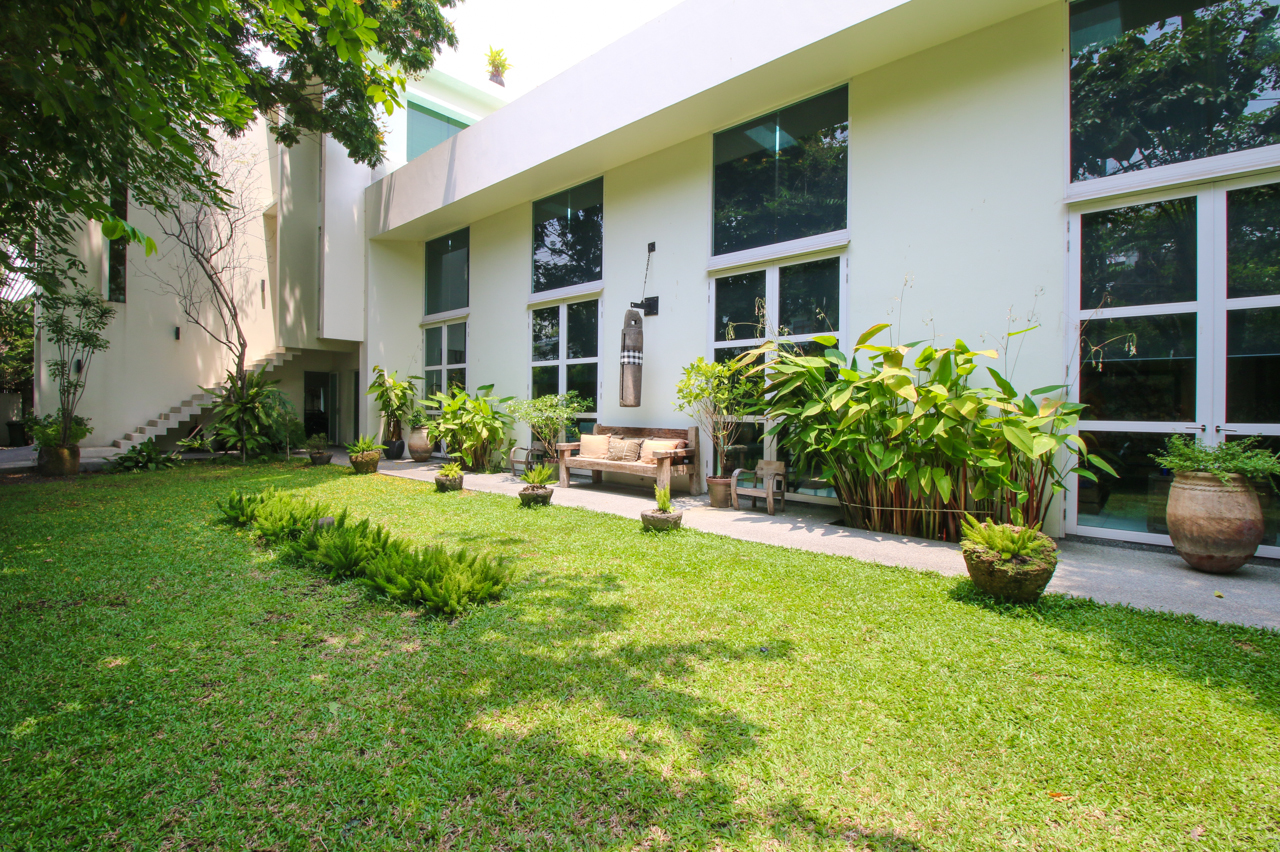 Outdoor garden area