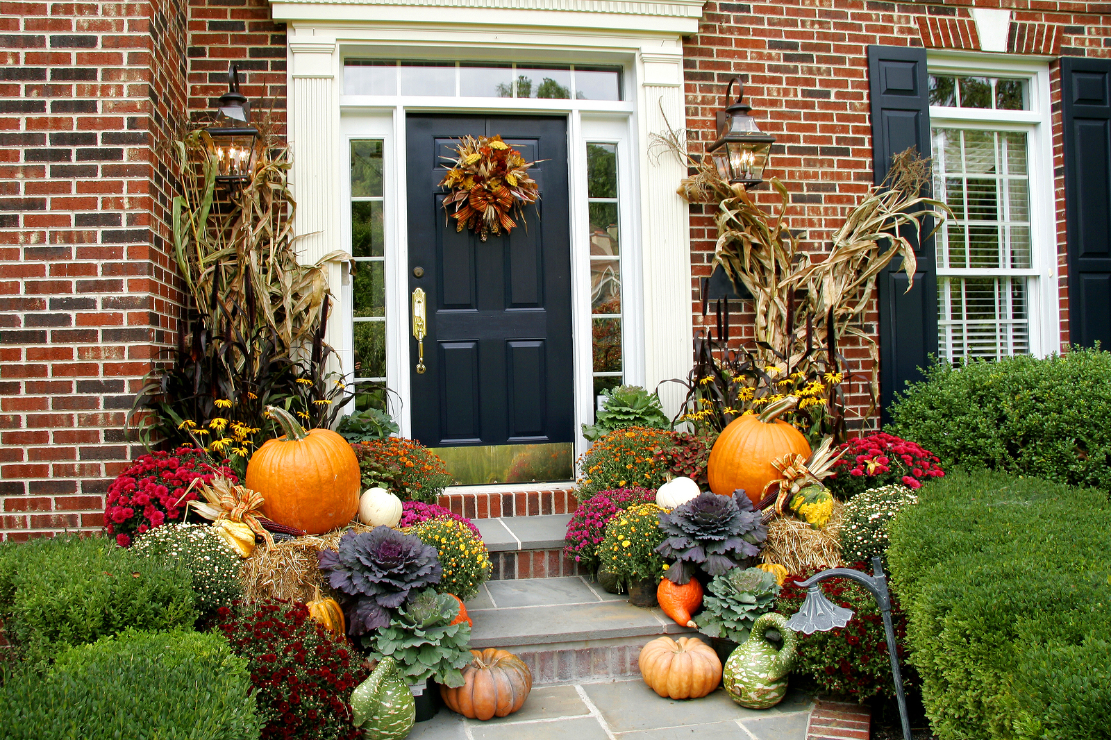 Traditional brick colonial dressed up for fall with colorful mums and harvest gourds