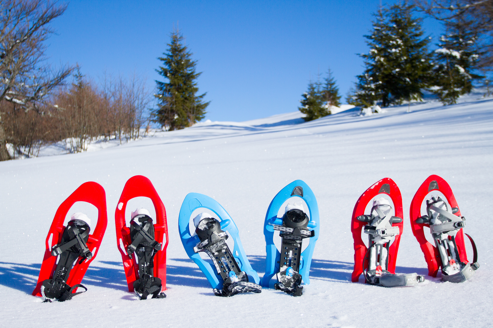 Snowshoeing. Snowshoes in the snow.Snowshoeing. Snowshoes in the snow.