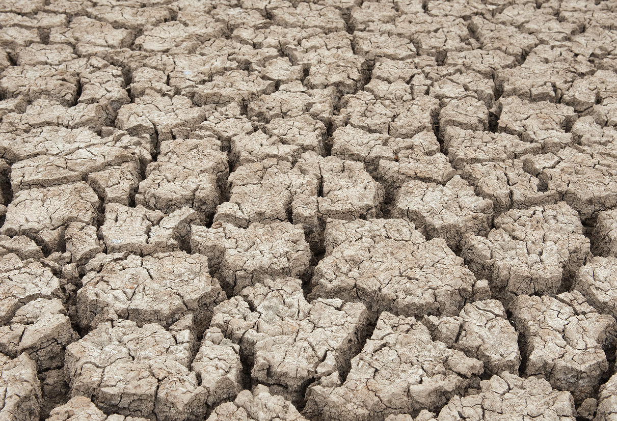 Dry soil texture of a barren land