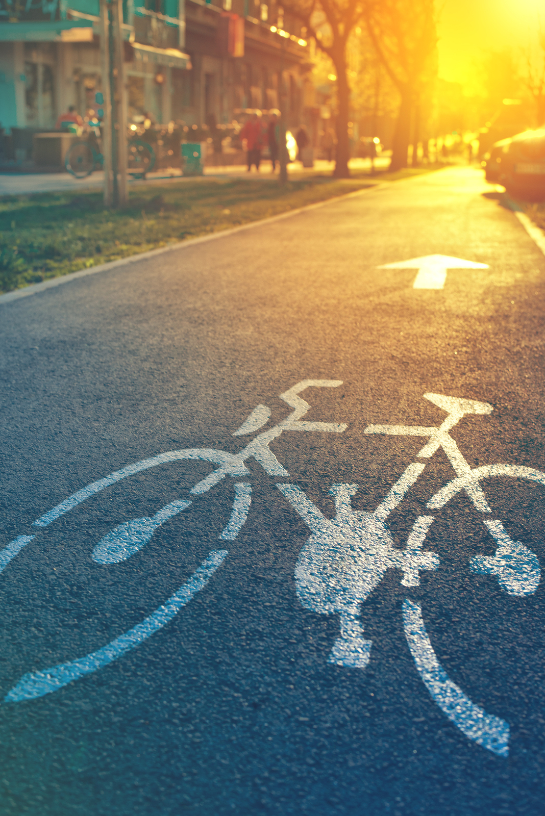 Bicycle lane mark on the street in sunset